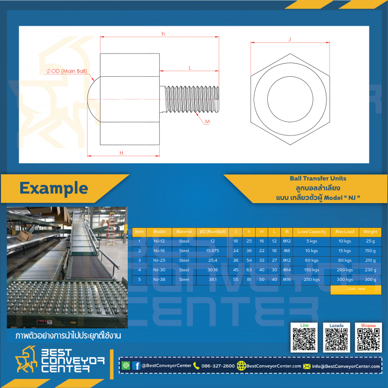 Ball Transfer Units 6 เหลี่ยม 25.4 mm. NJ-25