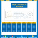สกรูหัวจมเตเปอร์ดำ ขนาด M10x100 mm. : HTP-M10L100B