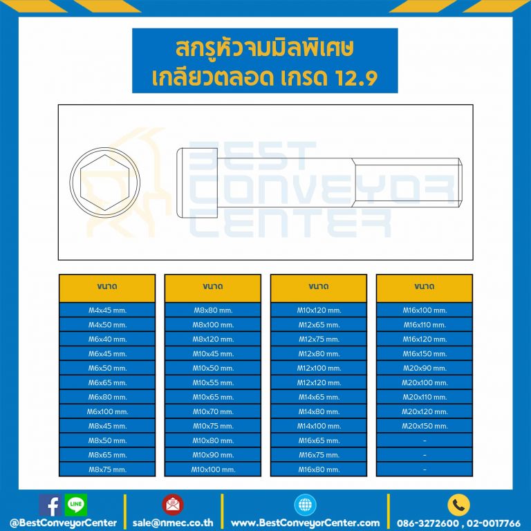 สกรูหัวจมดำพิเศษ เกลียวตลอด เกรด 12.9 ขนาด M10x100 mm. : HS-M10L100x12.9BS