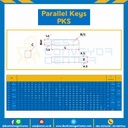 Parallel Key PKS 10×15-SS Parallel Key แบบกลม ที่ปลายทั้งสองด้าน ขนาด 10×15 mm. สแตนเลส