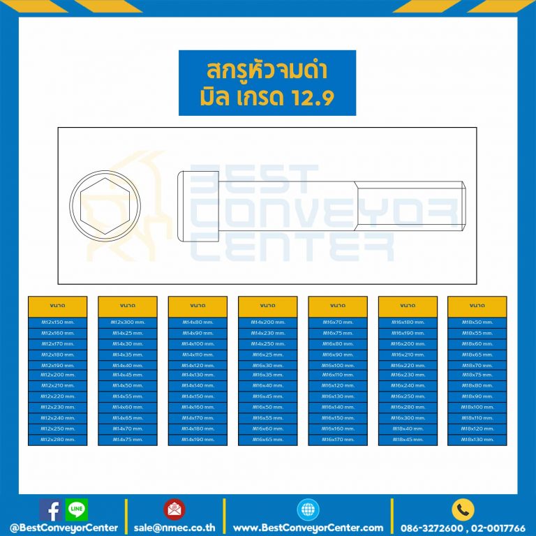 สกรูหัวจมดำ เกรด 12.9 ขนาด M14x75 mm. : HS-M14L75x12.9B