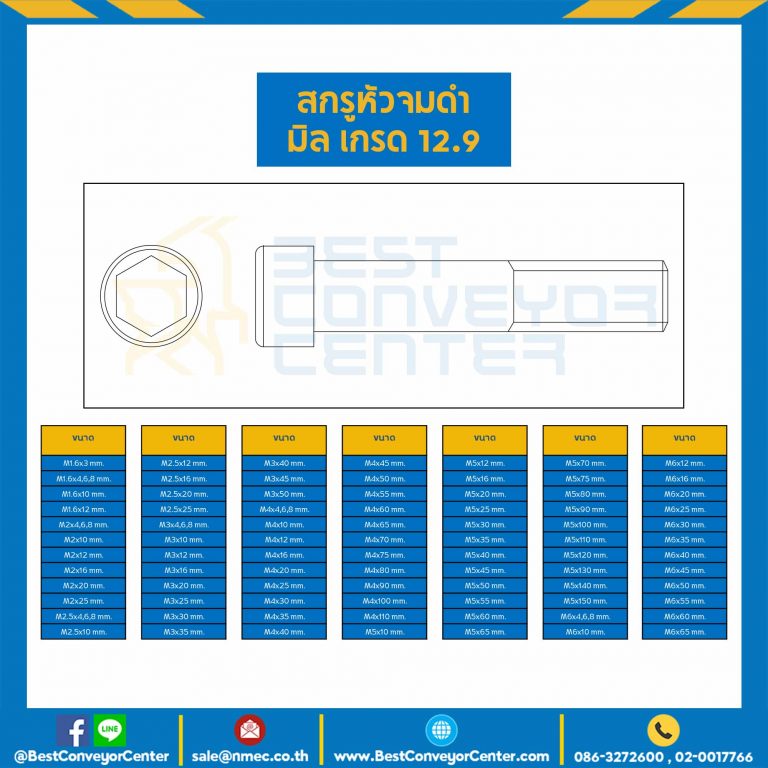 สกรูหัวจมดำ เกรด 12.9 ขนาด M22x250 mm. : HS-M22L250x12.9B