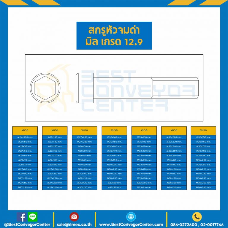 สกรูหัวจมดำ เกรด 12.9 ขนาด M33x220 mm. : HS-M33L220x12.9B