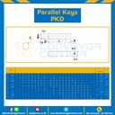 Parallel Key PKD 10×15-S Parallel Key แบบตรง ขนาด 10×15 mm. เหล็ก