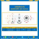 AFP50SS12L130Anti : ขาปรับระดับฐานพลาสติกพร้อมยางกันลื่น ฐาน 50 mm.M12x100 mm. SUS304
