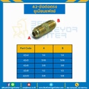 ข้อต่อตรงยูเนี่ยนแฟลย์ 42×5