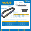 สายพาน V-Belt Torque – Flex : AX