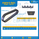 สายพาน V-Belt Torque – Flex : CX