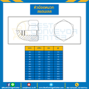 หัวน็อตหมวกสแตนเลส ขนาด M10x1.25 ขอบ 17 สูง 15.5 mm. : CN-M10-1.25-SS