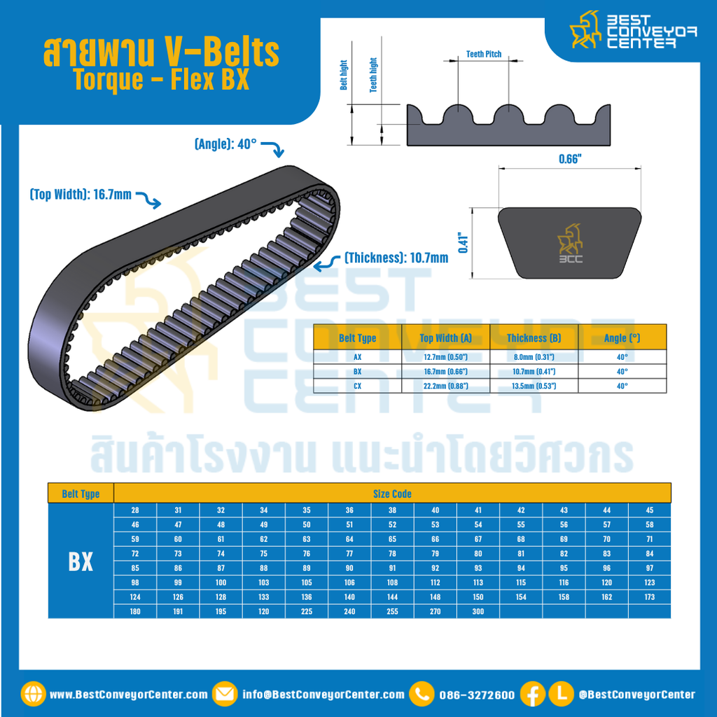 สายพาน V-Belt Torque – Flex : BX