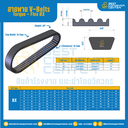 สายพาน V-Belt Torque – Flex : BX