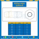 HDG-M20 ; หัวน็อตชุบสังกะสี ขนาด M25
