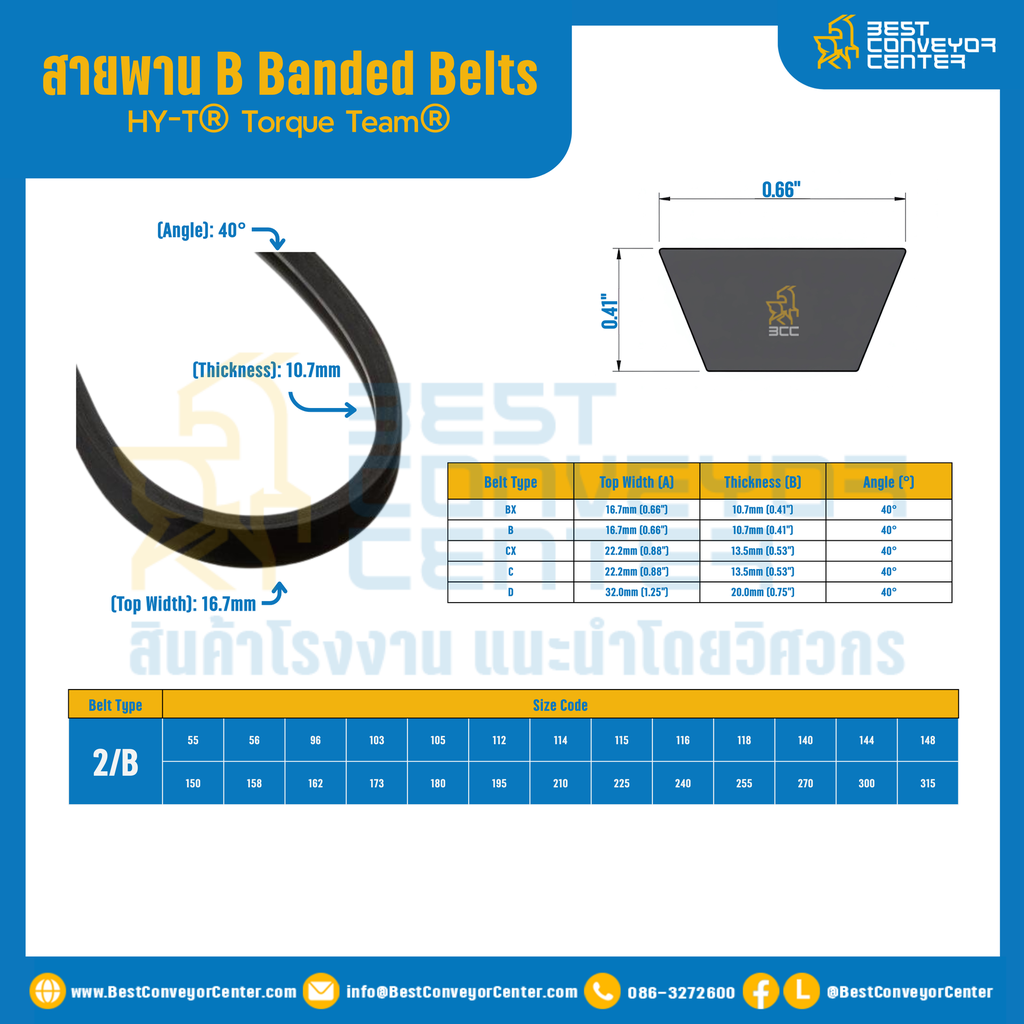 Torque Team® B Banded Belts : 2/B