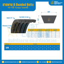 Torque Team® B Banded Belts : 5/B