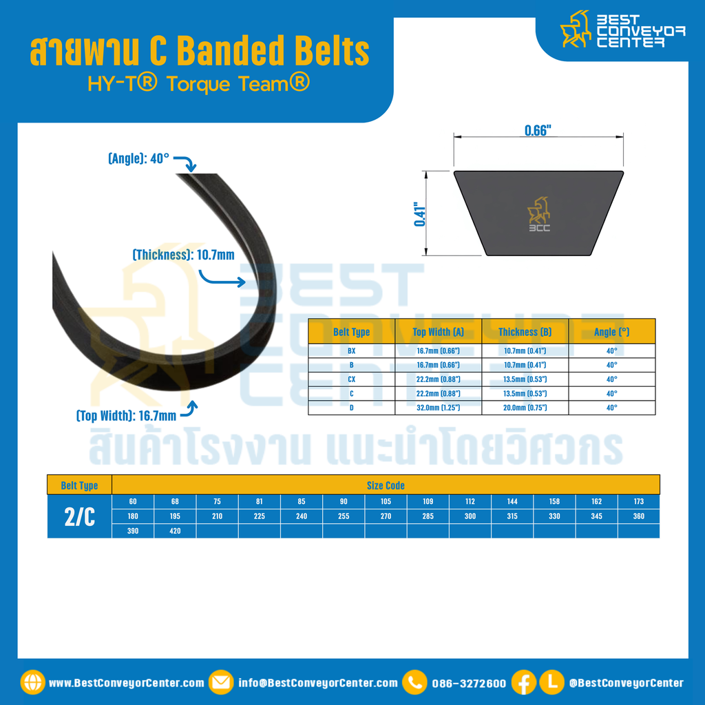 HY-T® Torque Team® C Banded Belts : 2/C
