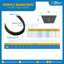 HY-T® Torque Team® C Banded Belts : 2/C