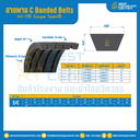 HY-T® Torque Team® C Banded Belts : 5/C