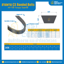 HY-T® Torque Team® CX Banded Belts : 2/CX