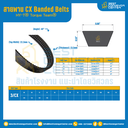 HY-T® Torque Team® CX Banded Belts : 3/CX