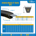 Metric V-Belts SPZ : SPZ