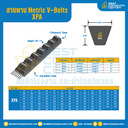 Metric V-Belts XPA Cogged : XPA
