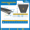 Specialty Belts 11M : 11M