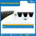 5VF Banded Belts : 5/5VF
