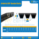 8VF Banded Belts : 2/8VF