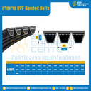 8VF Banded Belts : 4/8VF