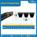 5V Banded Belts : 2/5V