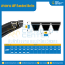 8V Banded Belts : 2/8V