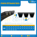 8V Banded Belts : 3/8V