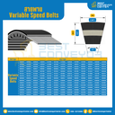 Variable Speed Belt 