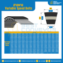 Variable Speed Belt 