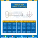 สกรูหัวเหลี่ยมทองเหลือง ขนาด 5/8×3-1/2 mm. : BHS-M5/8L3-1/12
