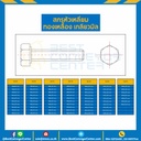 สกรูหัวเหลี่ยมทองเหลือง ขนาด M10x100 mm. : BHS-M10L110