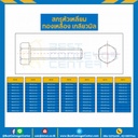 สกรูหัวเหลี่ยมทองเหลือง ขนาด M10x100 mm. : BHS-M10L160