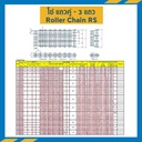 โซ่เหล็กเบอร์ 200 แถวคู่ RS200-2R