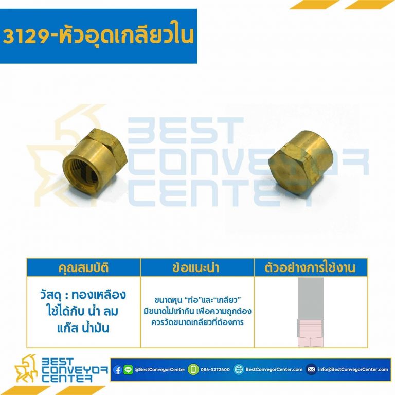 หัวอุดเกลียวใน 3129×8