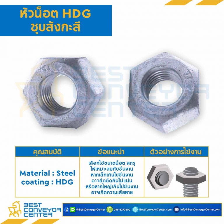 หัวน็อตชุบสังกะสี ขนาด M12 : HDG-M12