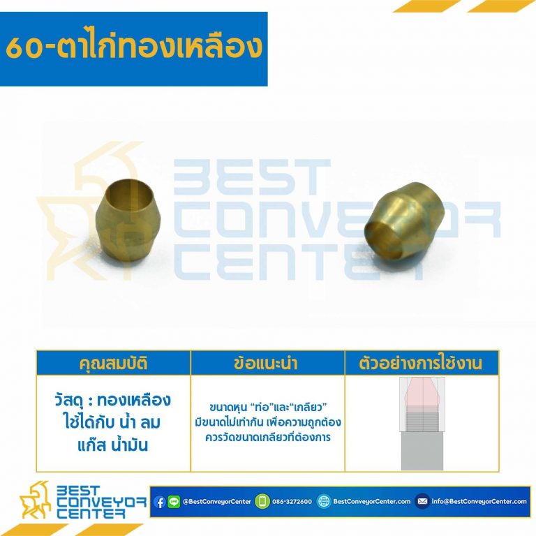 ตาไก่ทองเหลือง 60×3