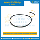 Wedge TLP 8V Narrow V-Belts : 8V1060