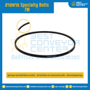 Specialty Belts 7M : 7M1090