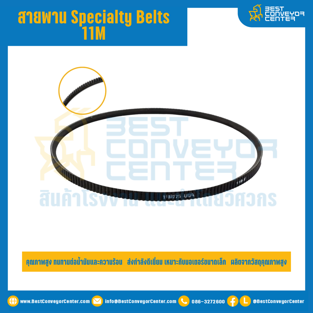 Specialty Belts 11M : 11M1750