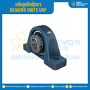 ตลับลูกปืนตุ๊กตา UKP ลูกปืนเหล็ก รูเพลา 50 mm. : UKP211-50