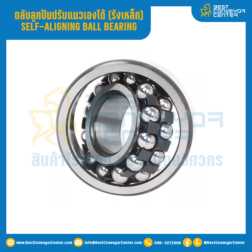 ตลับลูกปืนปรับแนวเองได้ (รังเหล็ก เพลาตรง) รูเพลา 65 mm. : 1213-65