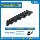ไทม์มิ่ง เบลล์ Timing Belt XH หน้ากว้าง 101.6 mm. 100 ฟัน ยาว 1400 mm. : Timing Belt XH-101.6-100T-1400