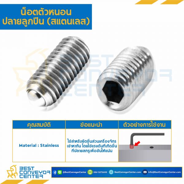 M4L15SSP สกรูตัวหนอน M4x15 ปลายลูกปืน สแตนเลส