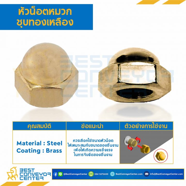 หัวน็อตหมวกชุบทองเหลือง ขนาด M12x1.25 ขอบ 19 สูง 18.5 mm. : CN-M12-1.25-19-BR