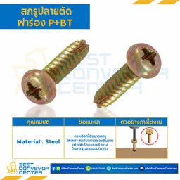 สกรูเกลียวเหล็กปลายตัดผ่าร่อง P+BT ขนาด M3.5×25 mm. : HSPBT-M3.5L25